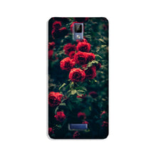 Red Rose Mobile Back Case for Gionee P7 (Design - 66)