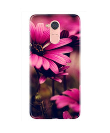 Purple Daisy Mobile Back Case for Gionee S6 Pro (Design - 65)