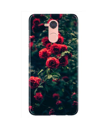 Red Rose Mobile Back Case for Gionee S6 Pro (Design - 66)