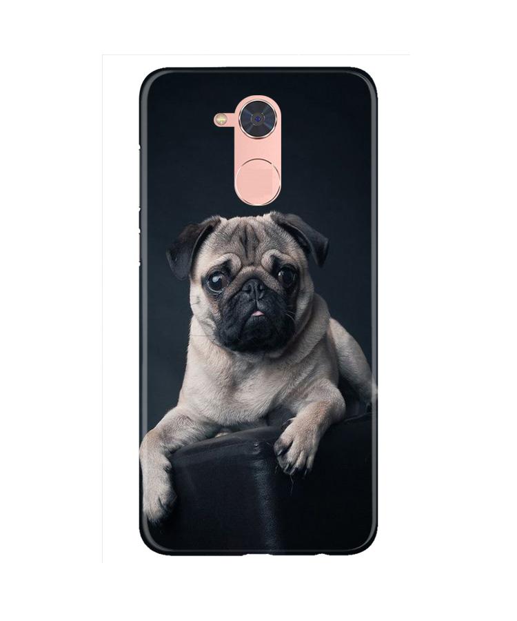little Puppy Case for Gionee S6 Pro