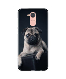little Puppy Mobile Back Case for Gionee S6 Pro (Design - 68)