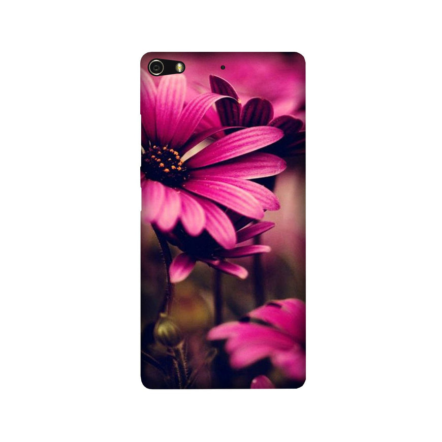 Purple Daisy Case for Gionee Elifi S7