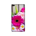 Coloful Daisy2 Case for Gionee Elifi S7