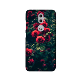 Red Rose Case for Gionee S9