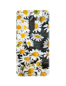 White flowers2 Mobile Back Case for Gionee X1 /  X1s (Design - 62)