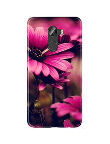 Purple Daisy Mobile Back Case for Gionee X1 /  X1s (Design - 65)
