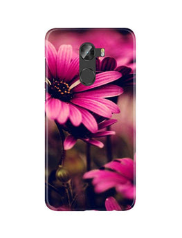 Purple Daisy Case for Gionee X1 /X1s
