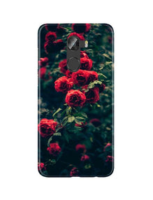 Red Rose Mobile Back Case for Gionee X1 /  X1s (Design - 66)