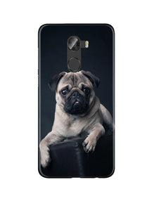 little Puppy Mobile Back Case for Gionee X1 /  X1s (Design - 68)