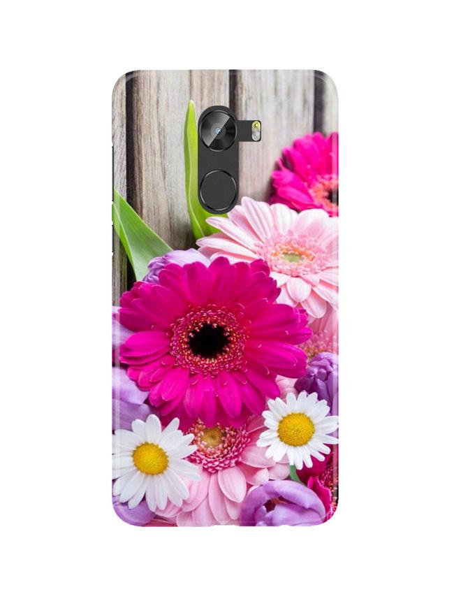 Coloful Daisy2 Case for Gionee X1 /  X1s