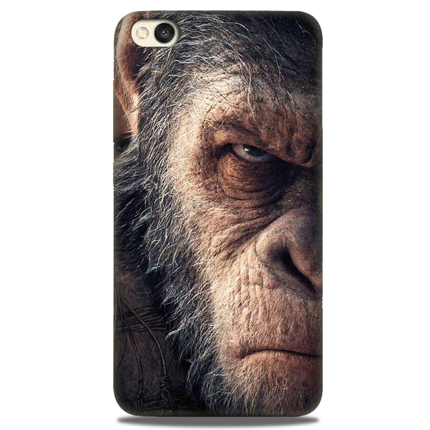 Angry Ape Mobile Back Case for Redmi Go  (Design - 316)