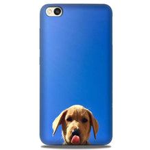 Dog Mobile Back Case for Redmi Go  (Design - 332)