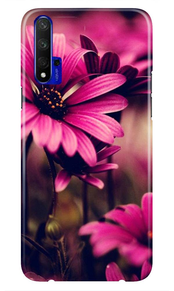 Purple Daisy Case for Huawei Honor 20