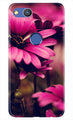 Purple Daisy Case for Honor 8 Lite