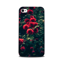Red Rose Case for iPhone 5/ 5s