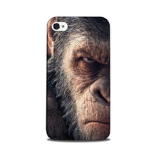 Angry Ape Mobile Back Case for iPhone 5/ 5s  (Design - 316)