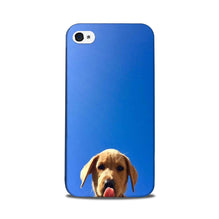 Dog Mobile Back Case for iPhone 5/ 5s  (Design - 332)