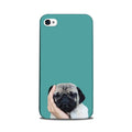 Puppy Mobile Back Case for iPhone 5/ 5s  (Design - 333)