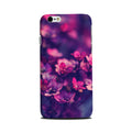flowers Case for iPhone 6Plus/ 6sPlus