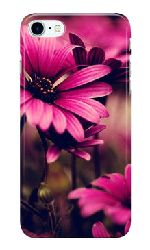 Purple Daisy Case for iPhone 7