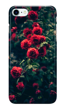 Red Rose Case for iPhone 7