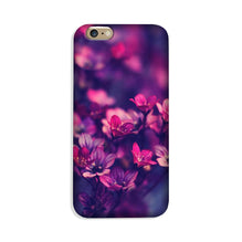 flowers Case for iPhone 8