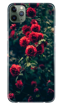 Red Rose Case for iPhone 11 Pro