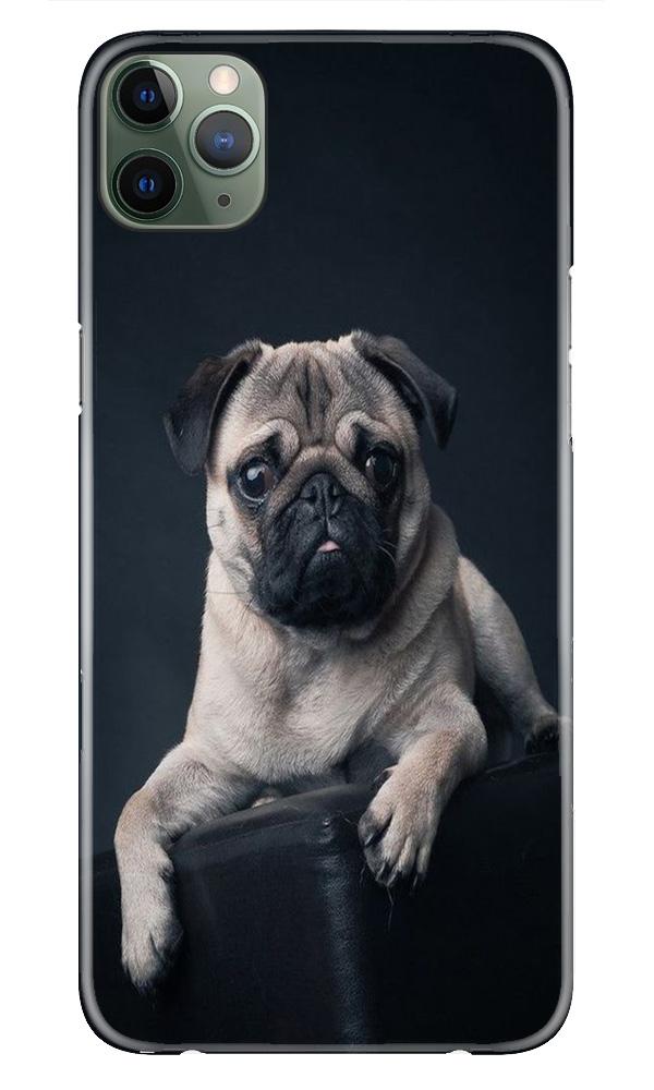 little Puppy Case for iPhone 11 Pro