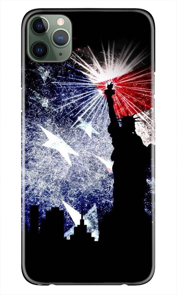 Statue of Unity Case for iPhone 11 Pro (Design No. 294)