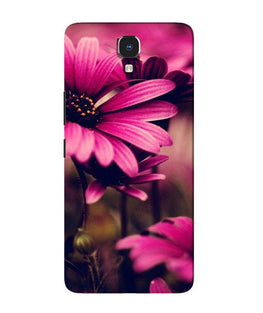 Purple Daisy Case for Infinix Note 4