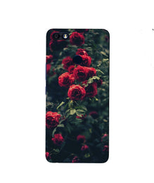 Red Rose Mobile Back Case for Infinix Note 5 / Note 5 Pro (Design - 66)