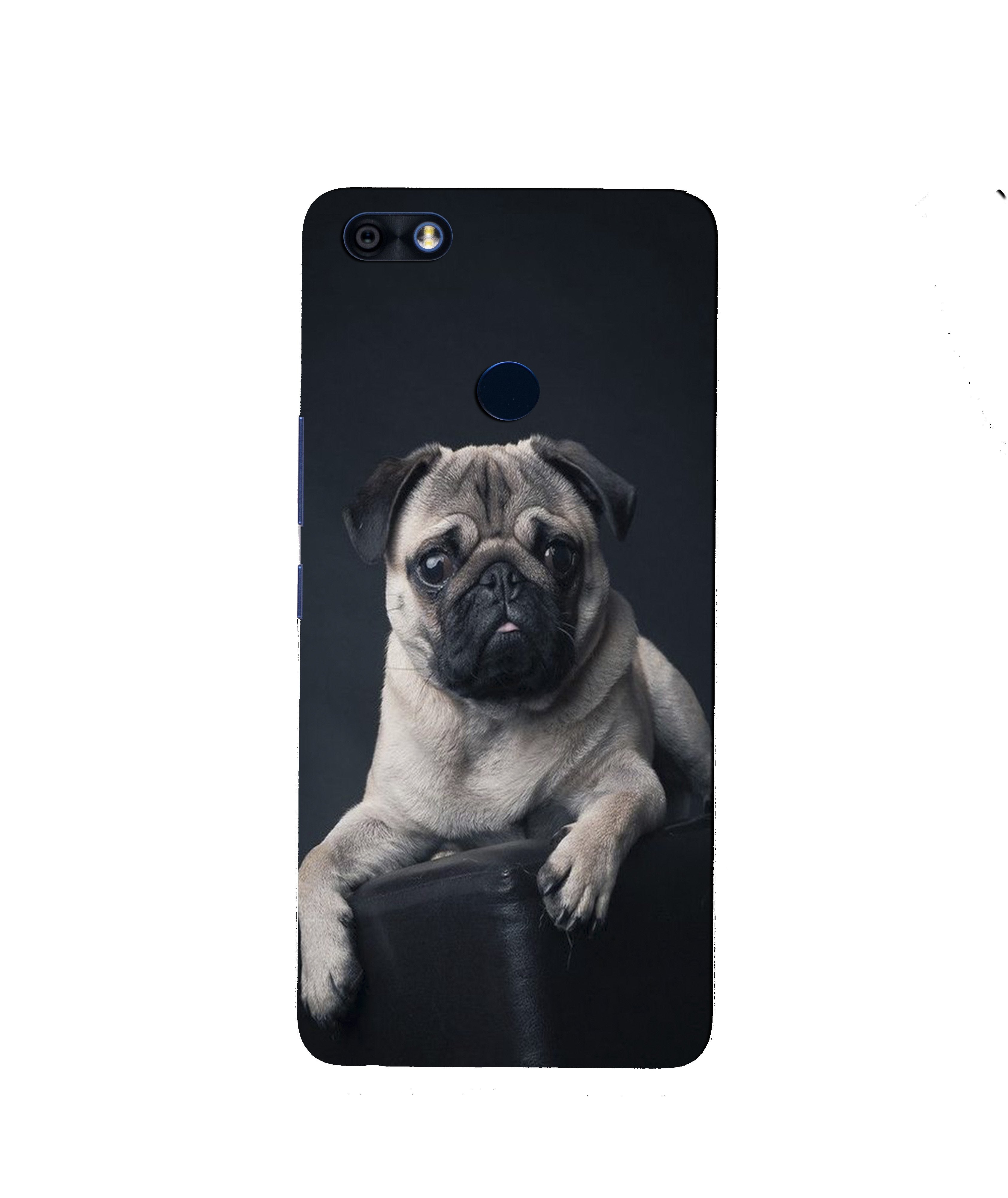 little Puppy Case for Infinix Note 5 / Note 5 Pro