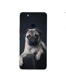 little Puppy Mobile Back Case for Infinix Note 5 / Note 5 Pro (Design - 68)