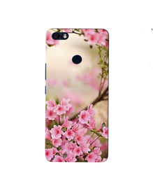 Pink flowers Mobile Back Case for Infinix Note 5 / Note 5 Pro (Design - 69)