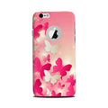 White Pick Butterflies Case for Iphone6