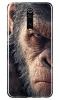 Angry Ape Mobile Back Case for Oppo R17 Pro (Design - 316)