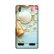 Sea Shells Mobile Back Case for Lenovo A6000 (Design - 63)