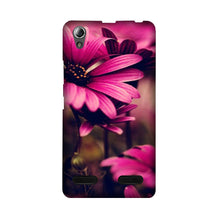 Purple Daisy Mobile Back Case for Lenovo A6000 (Design - 65)
