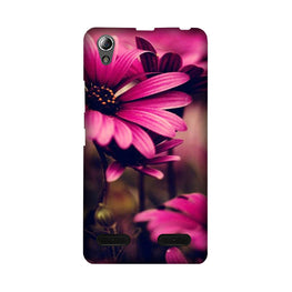 Purple Daisy Case for Lenovo A6000