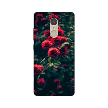 Red Rose Mobile Back Case for Lenovo K6 Note (Design - 66)