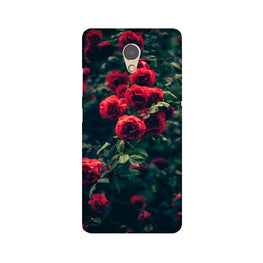 Red Rose Case for Lenovo P2