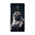 little Puppy Case for Lenovo Vibe P1