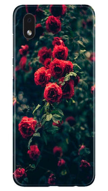 Red Rose Mobile Back Case for Samsung Galaxy M01 Core (Design - 66)