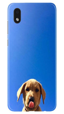 Dog Mobile Back Case for Samsung Galaxy M01 Core (Design - 332)