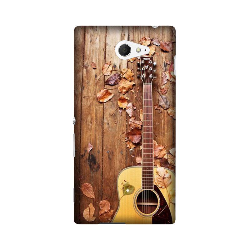 Guitar Case for Sony M2