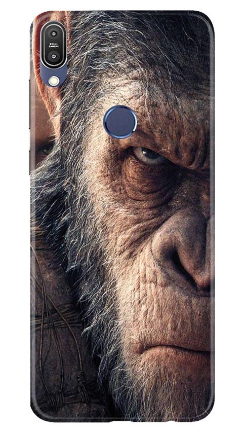 Angry Ape Mobile Back Case for Asus Zenfone Max Pro M1 (Design - 316)