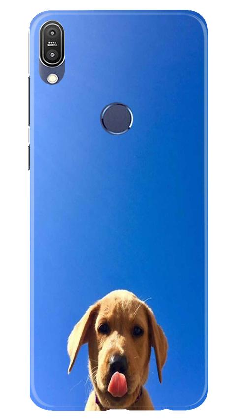 Dog Mobile Back Case for Asus Zenfone Max Pro M1 (Design - 332)