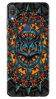 Owl Mobile Back Case for Asus Zenfone Max M1 (Design - 360)