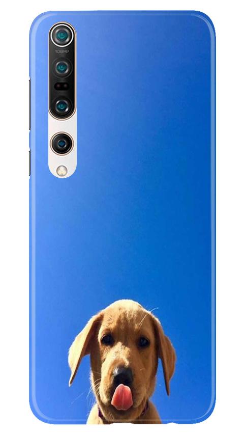 Dog Mobile Back Case for Xiaomi Mi 10 (Design - 332)