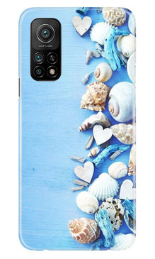 Sea Shells2 Mobile Back Case for Mi 10T (Design - 64)
